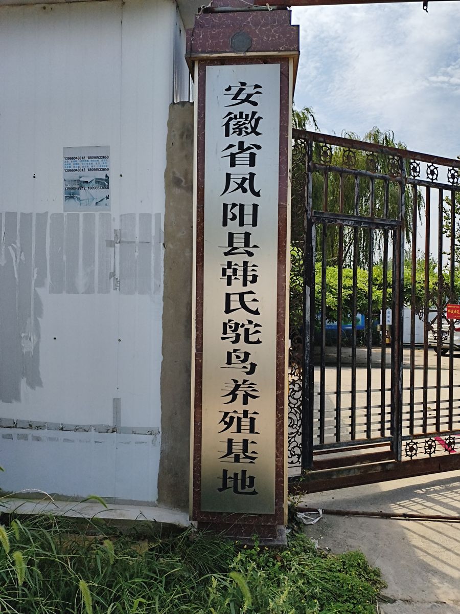 兴云祥鸵
